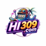 HI309 Game