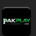 PAKPLAY Game
